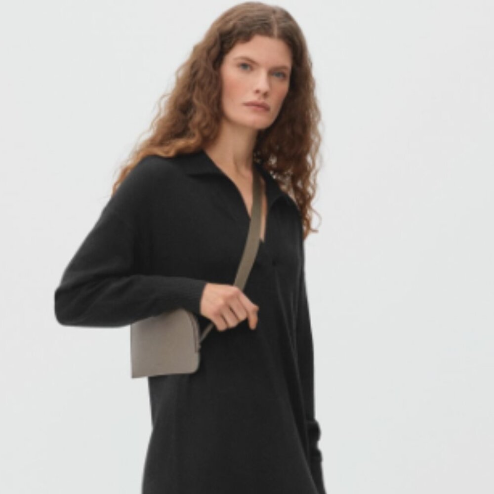 Everlane The Cashmere Polo Dress